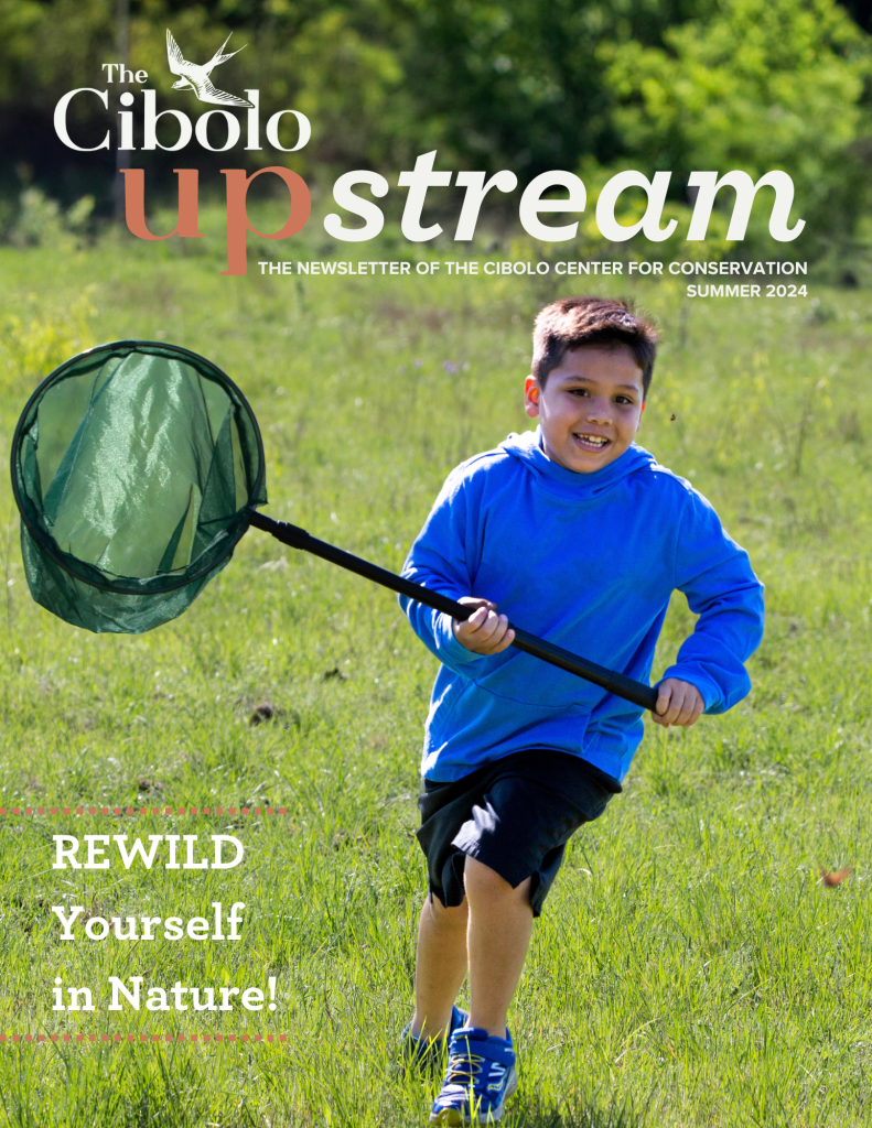 Boy in blue sweatshirt smiling and running in a field with a butterfly net