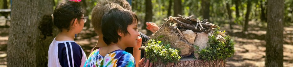 Farmer's Market at the Cibolo photo 22