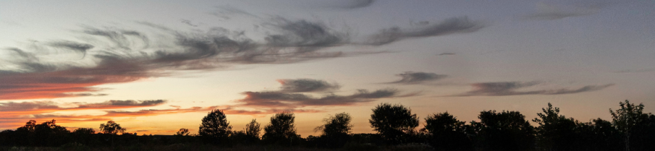 Farmer's Market at the Cibolo photo 26